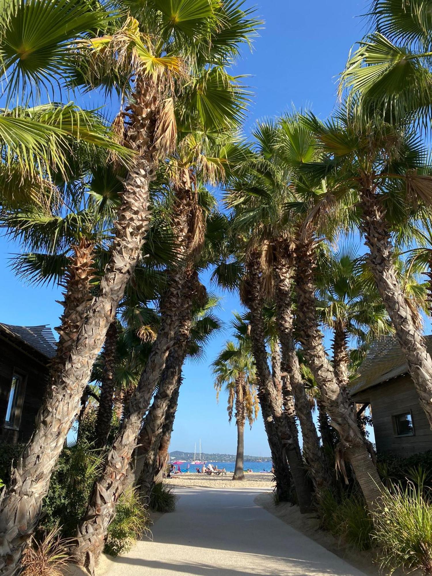 Mobil Homes Vacances Grimaud Dış mekan fotoğraf
